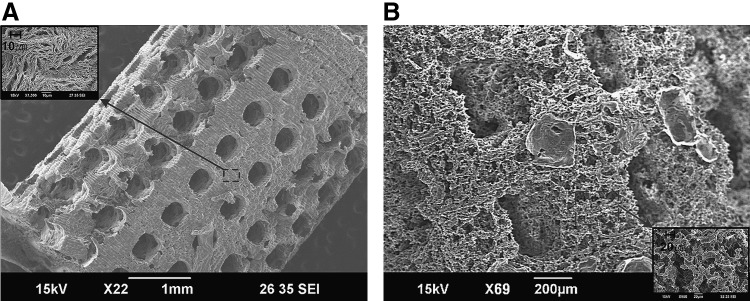 FIG. 8.