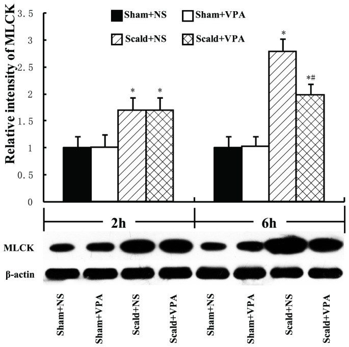 Figure 6