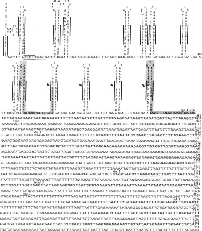 graphic file with name pnas00342-0244-a.jpg