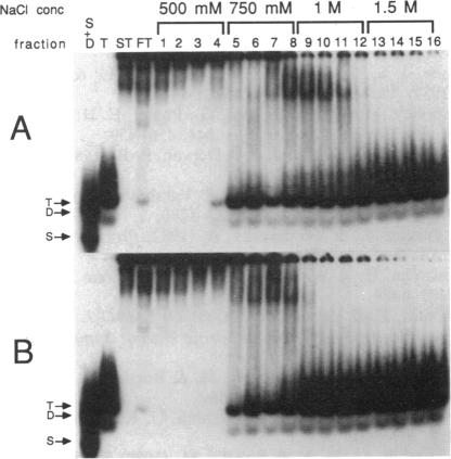 graphic file with name pnas01073-0088-c.jpg