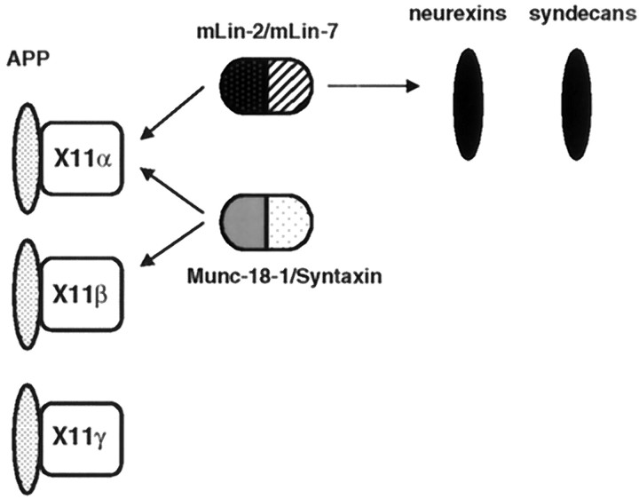 Fig. 9.