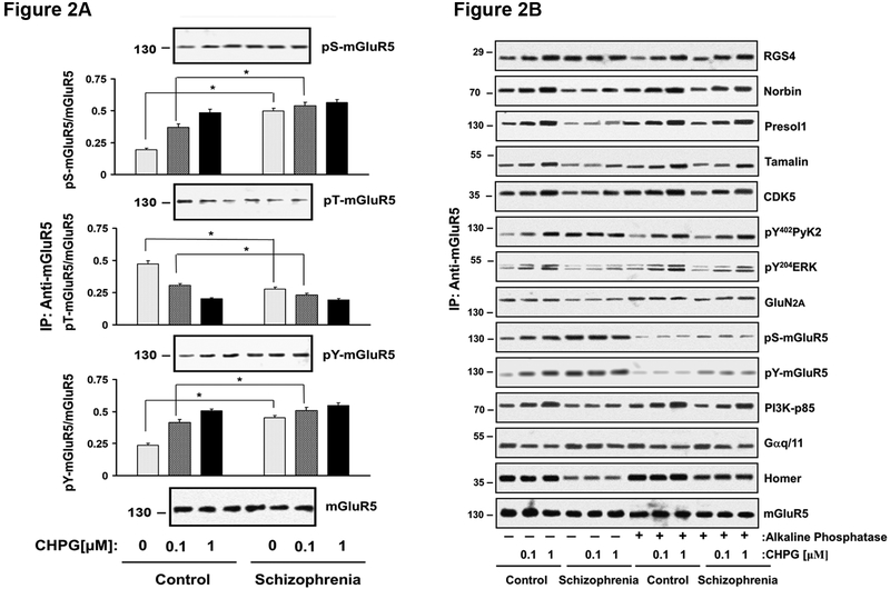 Fig 2A-B.