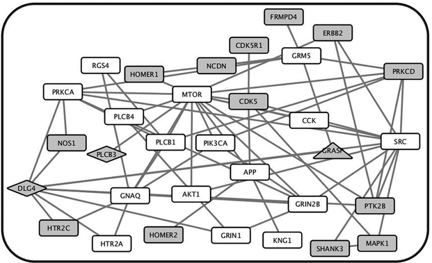 Figure 4.