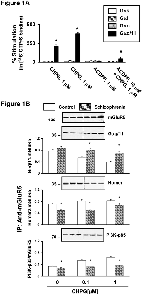 Figure 1 A-B.