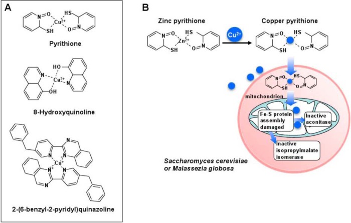 FIGURE 3.