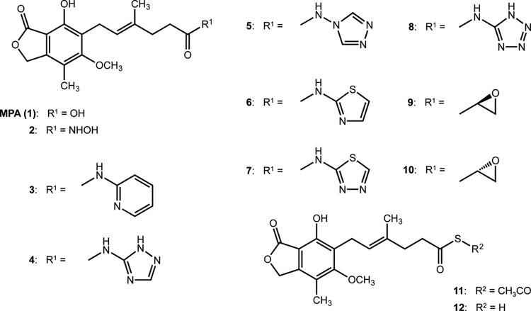 FIG 1