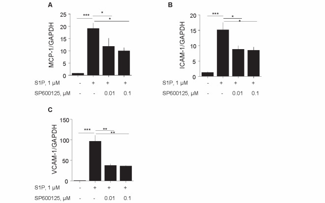 
Fig. 5.
Inhibition of JNK suppressed S1P-induced endothelial cell activation
