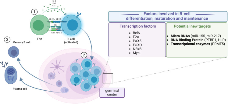 Figure 2