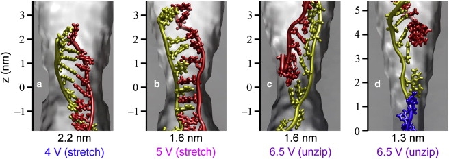 Figure 7