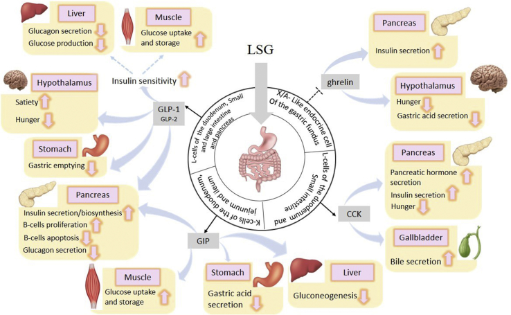 Figure 4