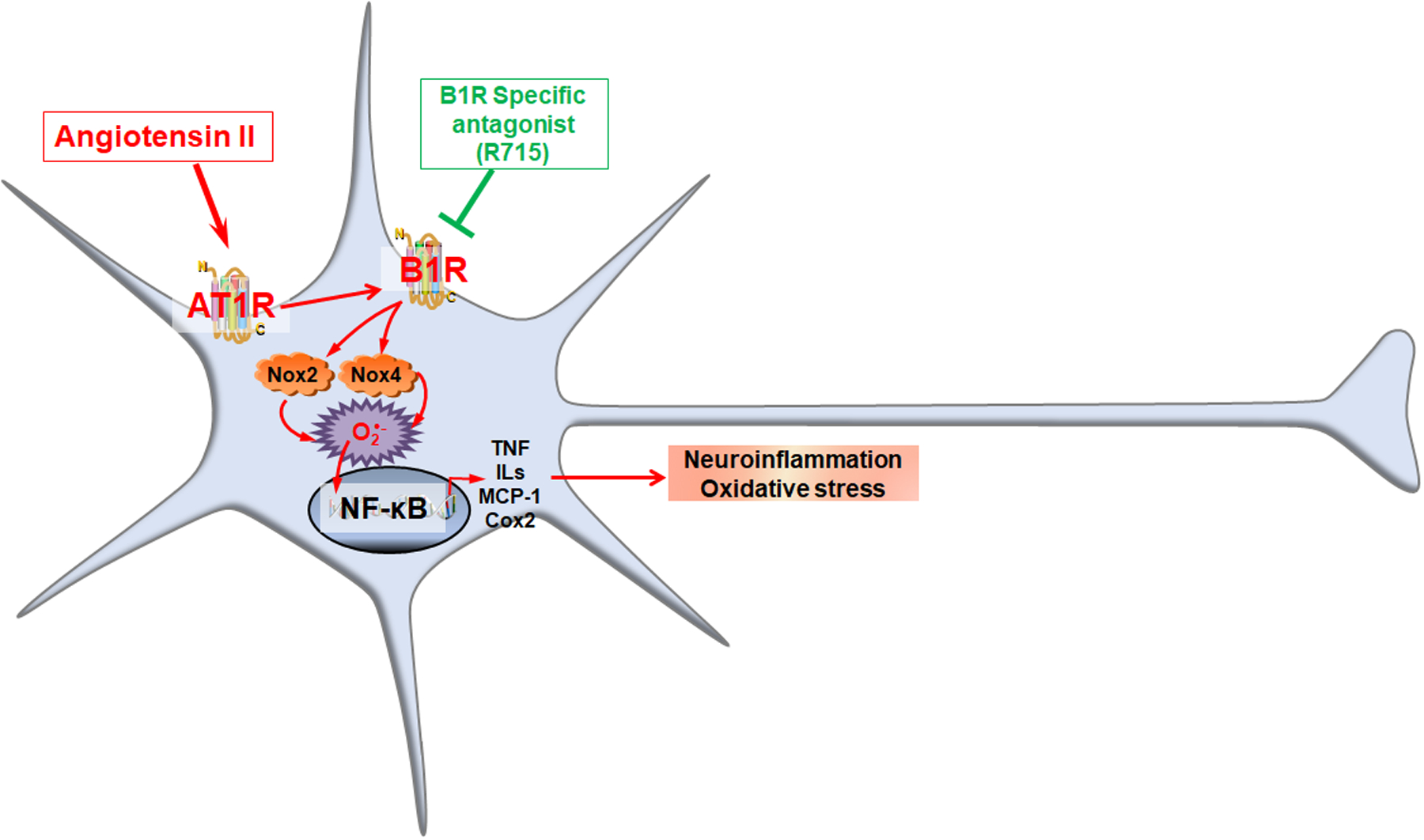 Fig 7.