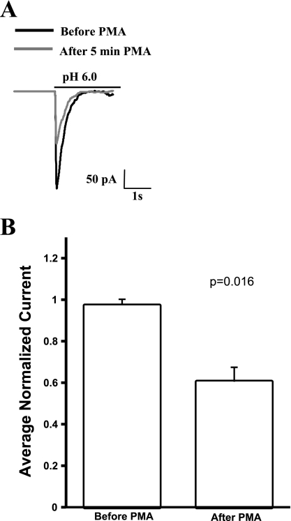 Fig. 5.