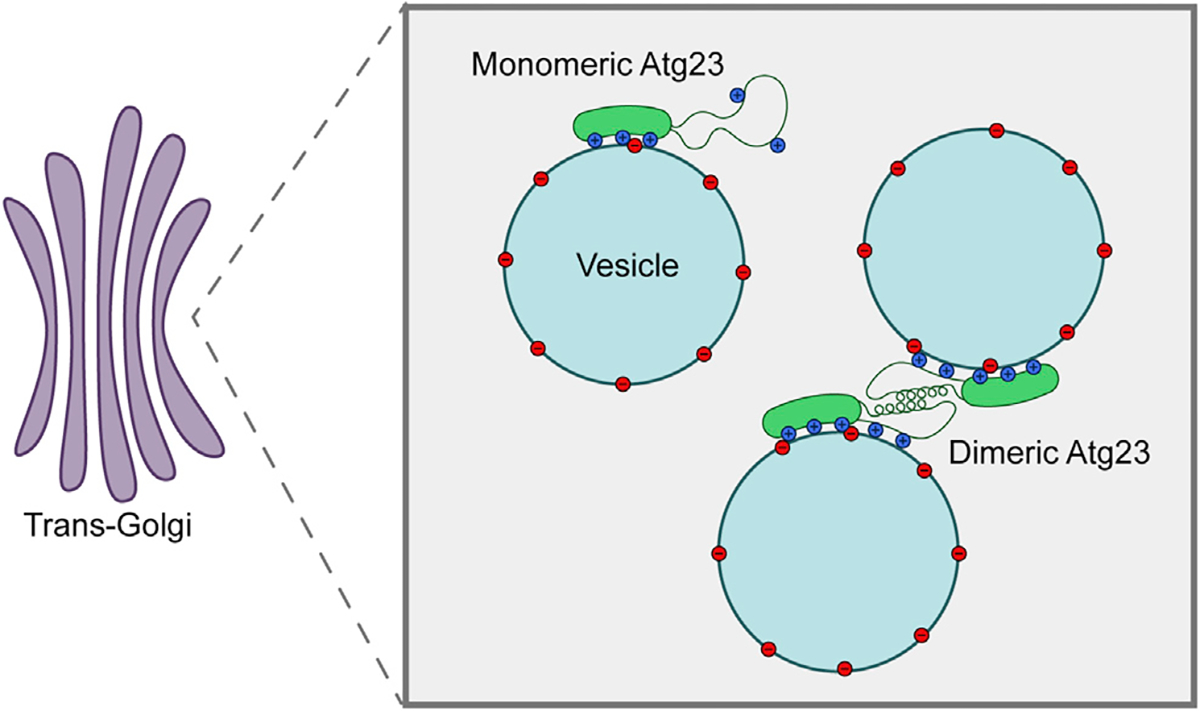 Figure 7.