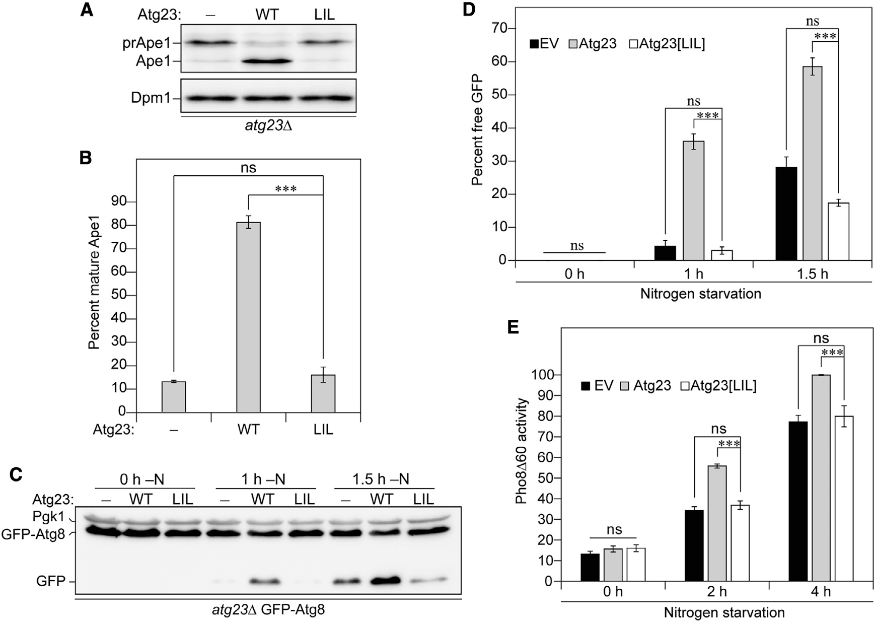 Figure 6.