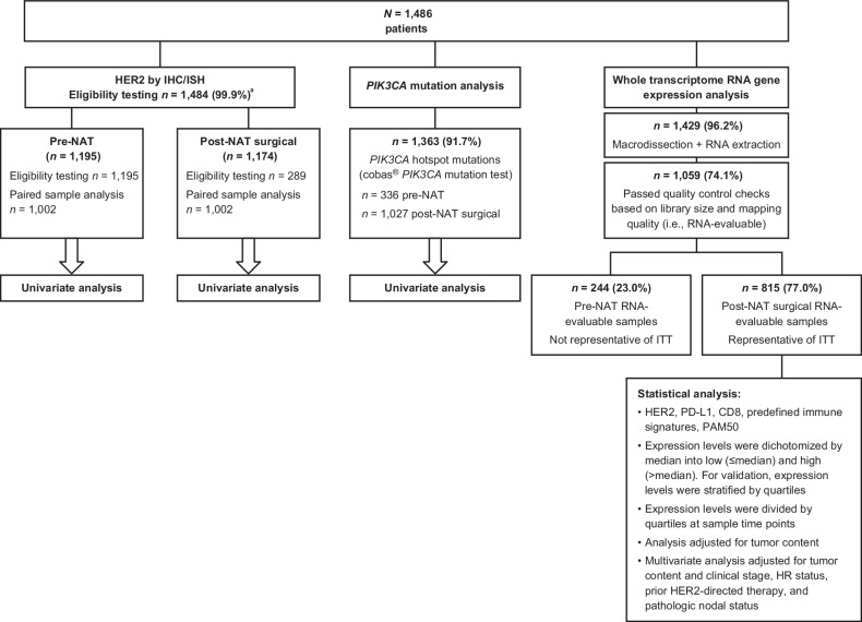 Figure 1. Study populations for biomarker analyses. aTwo patients (both in the trastuzumab arm) are not included: one had HER2-positive status that was determined locally but that was not centrally confirmed; the other was randomized twice in error, with a missing HER2 status at the time of the first randomization and a positive HER2 status during rerandomization. HR, hormone receptor.