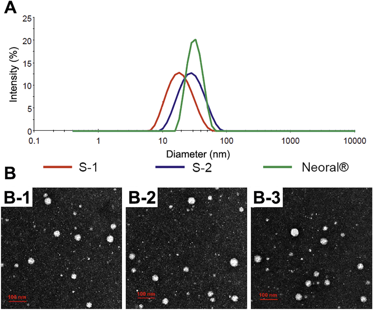 Figure 1