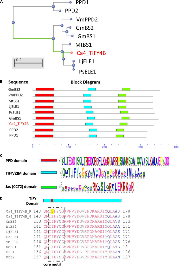 FIGURE 4