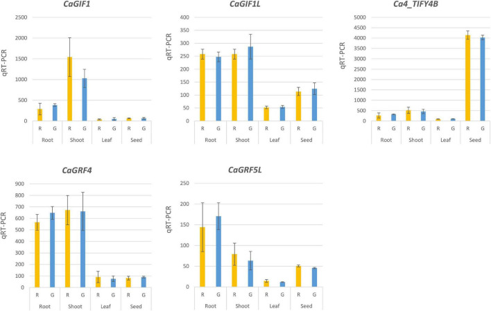 FIGURE 6