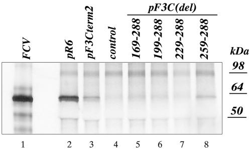 FIG. 5.