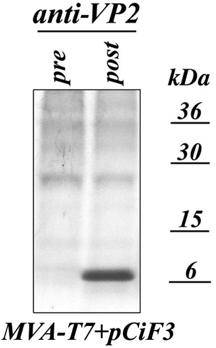 FIG. 6.