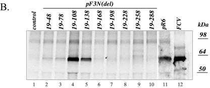 FIG. 4.