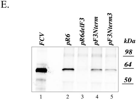 FIG. 2.