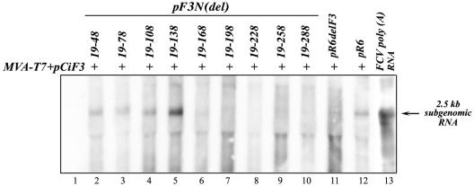 FIG. 7.