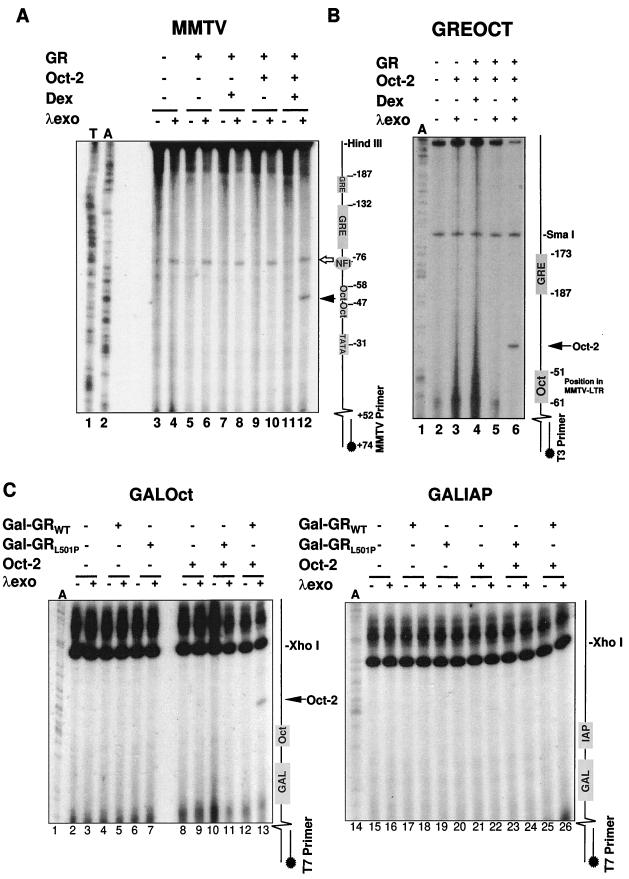 FIG. 6