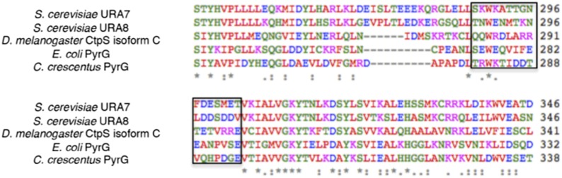 Figure 6—figure supplement 1.