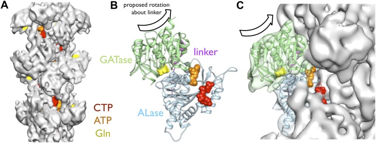 Figure 5.