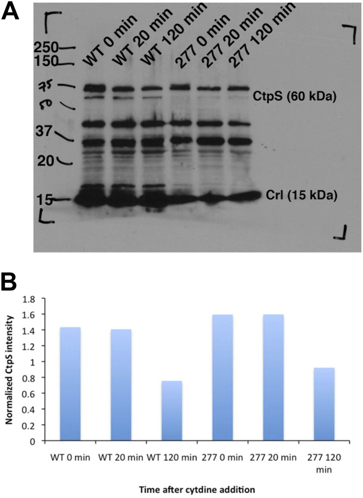 Figure 7—figure supplement 4.