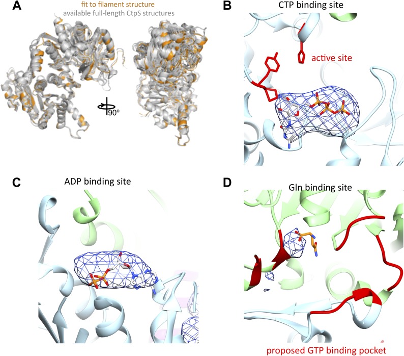 Figure 3—figure supplement 2.