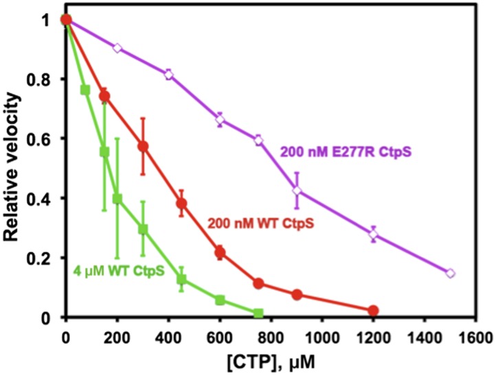 Figure 7—figure supplement 2.