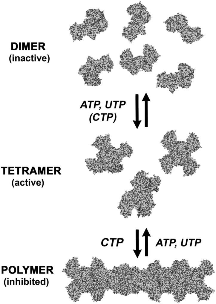 Figure 9.