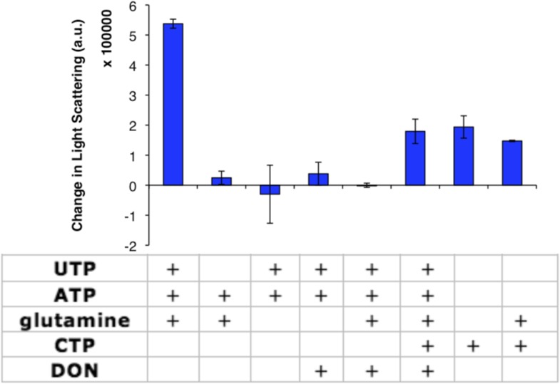 Figure 2—figure supplement 1.