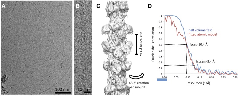 Figure 3—figure supplement 1.