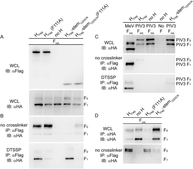 FIG 2