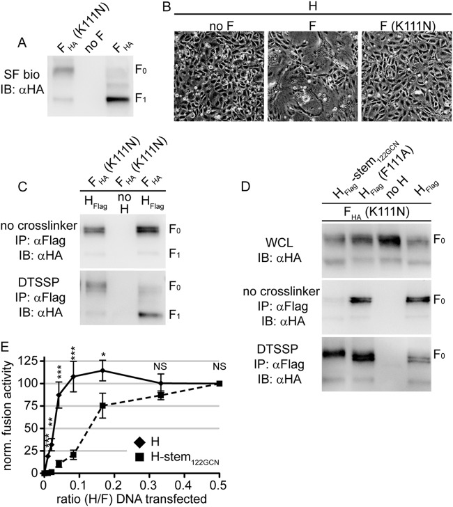 FIG 6