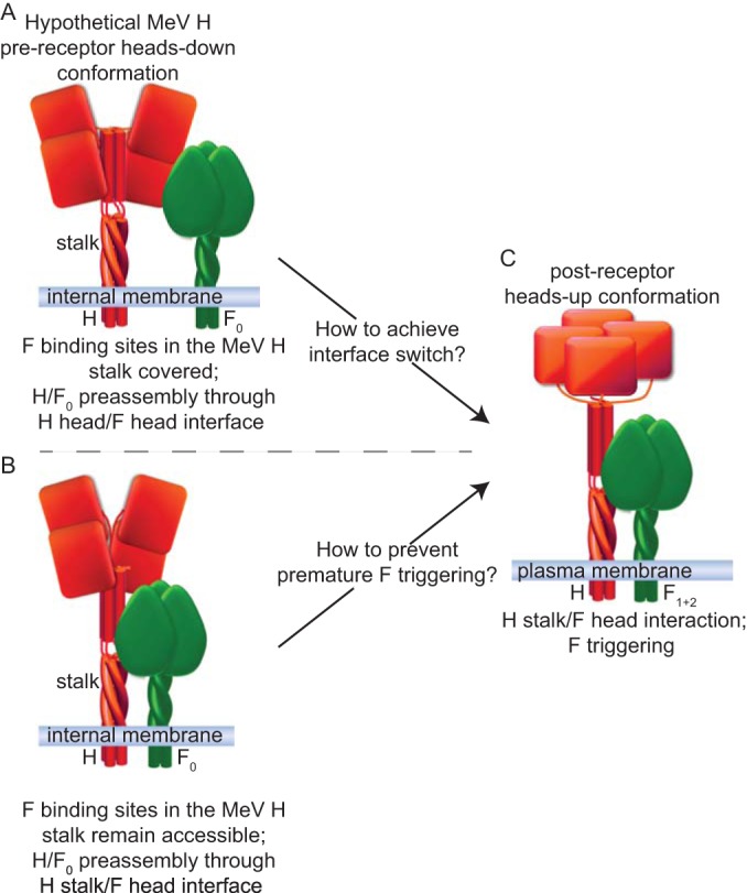 FIG 1