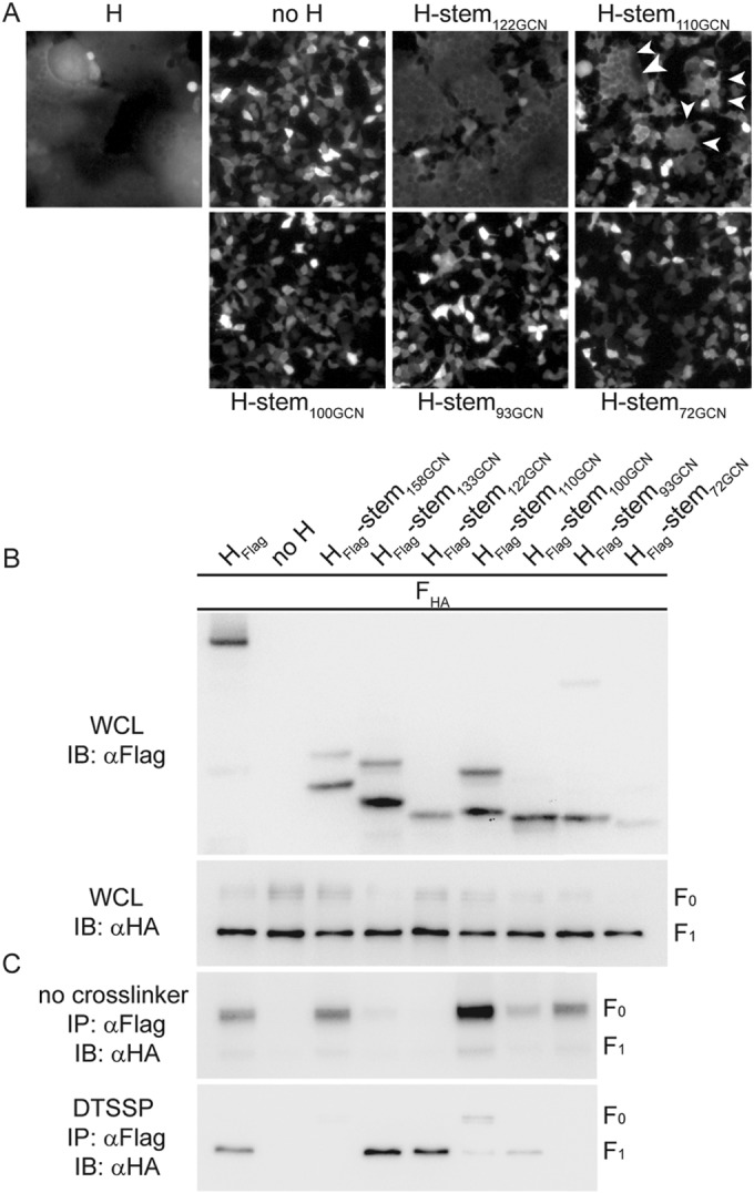 FIG 3