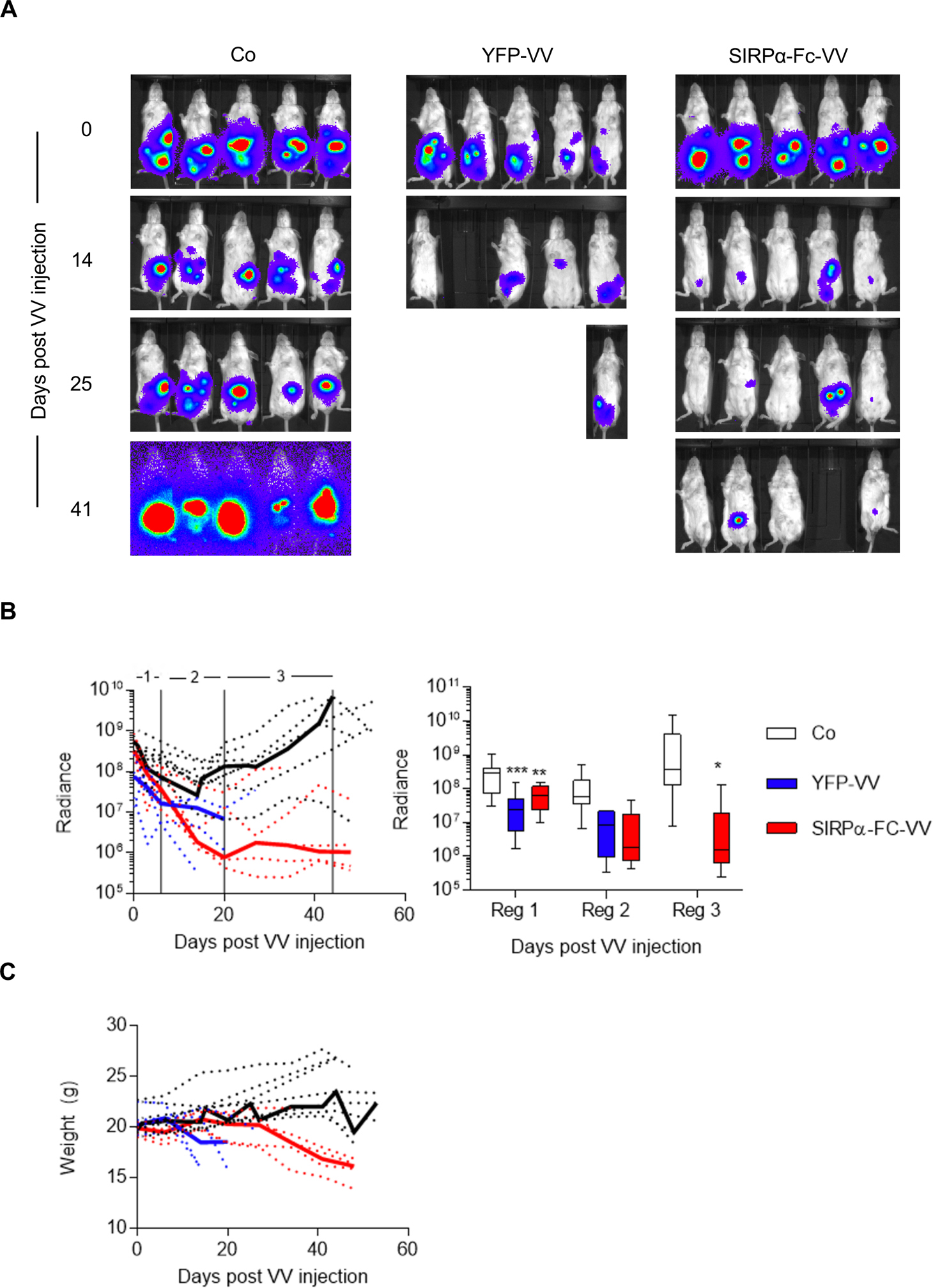 Figure 4: