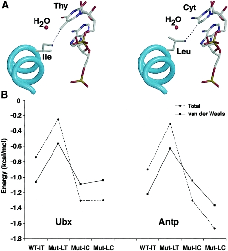 Figure  7