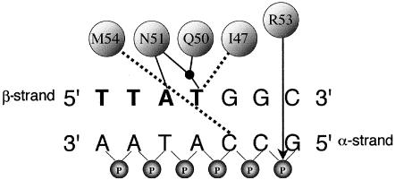 Figure  1