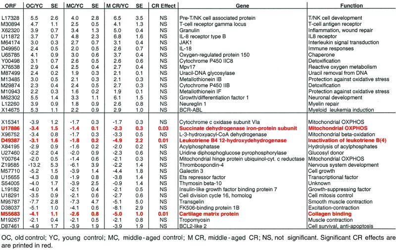 graphic file with name pq0810618ot5.jpg