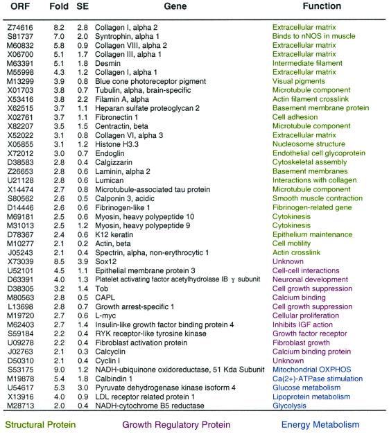 graphic file with name pq0810618ot3.jpg