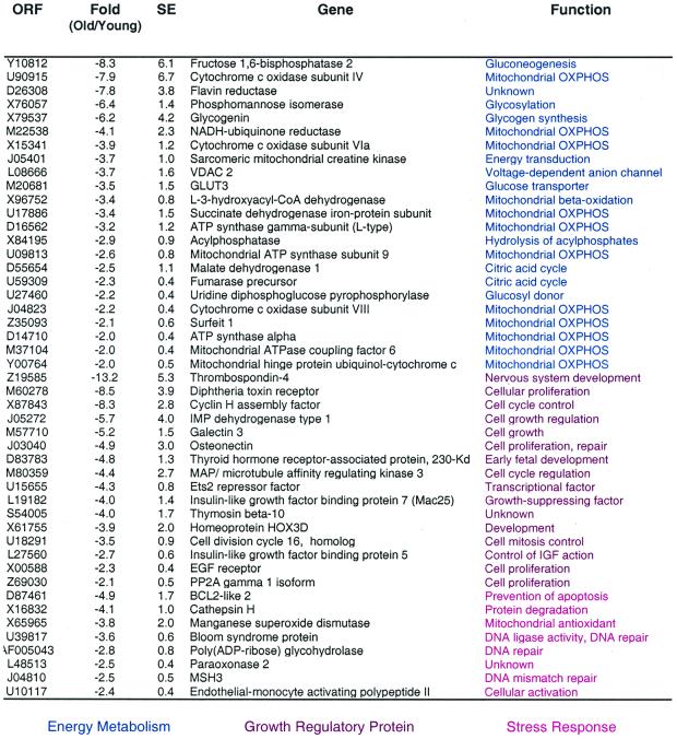 graphic file with name pq0810618ot2.jpg