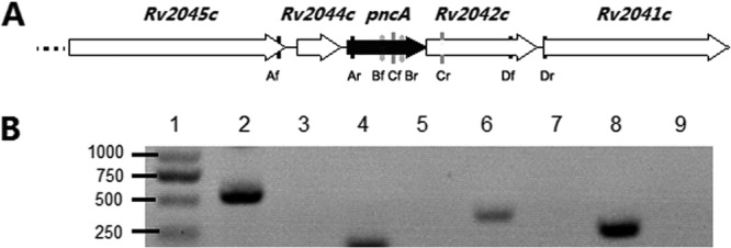 FIG 1