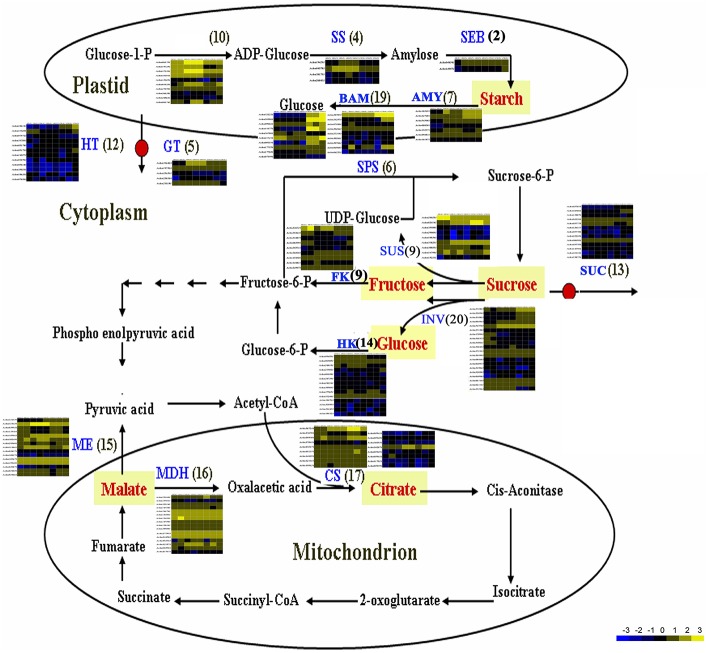 Figure 4