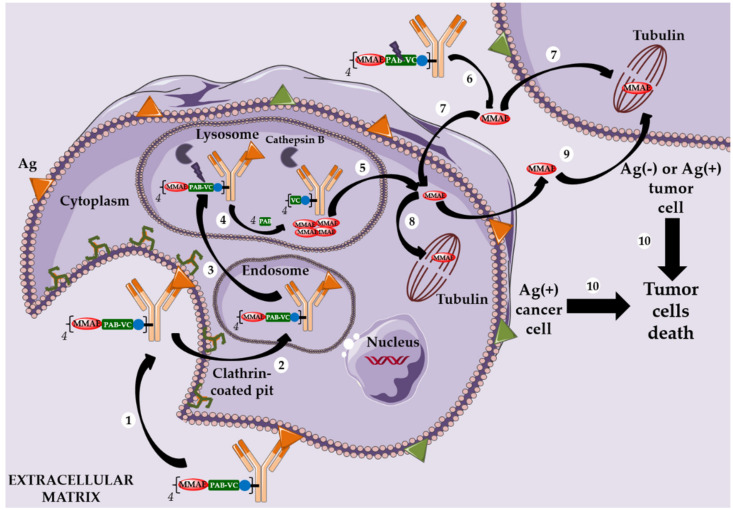 Scheme 3