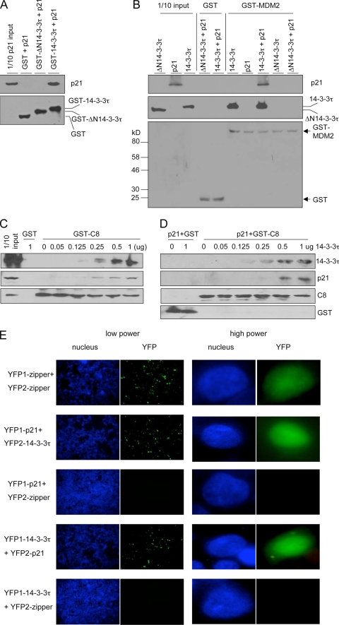 FIG. 7.